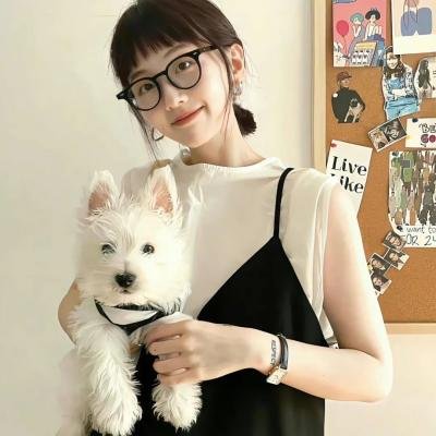 上车家族粤语